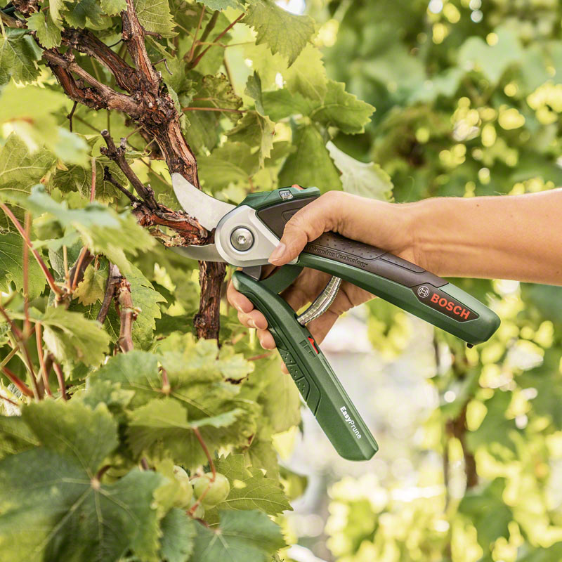 Bosch - baštenski program - Akumulatorske makaze za baštu EasyPrune - 06008B2000